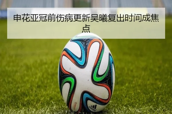 申花亚冠前伤病更新吴曦复出时间成焦点 - WukongSports